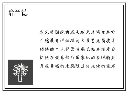哈兰德