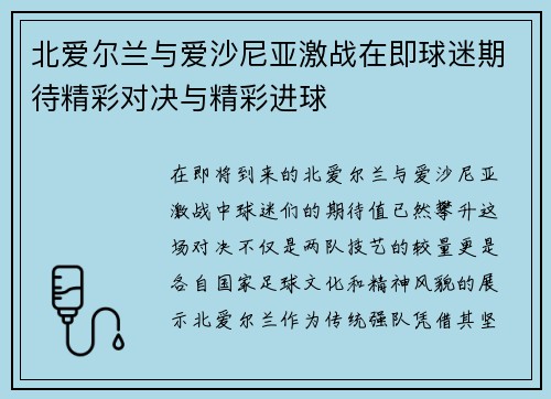 北爱尔兰与爱沙尼亚激战在即球迷期待精彩对决与精彩进球