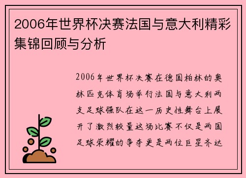 2006年世界杯决赛法国与意大利精彩集锦回顾与分析